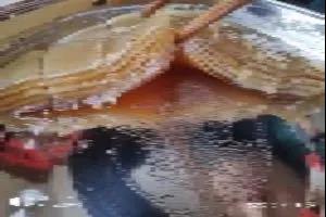我在“疫”2(7).jpg